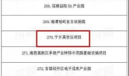 宁乡新闻爆料网站,聚焦民生，传递最新动态